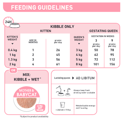 Royal canin kitten shop dry food feeding guide