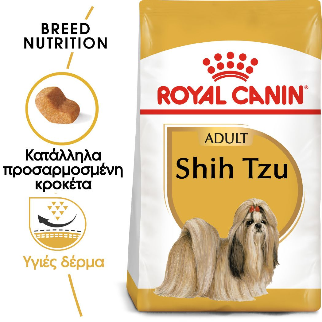 Shih Tzu Adult