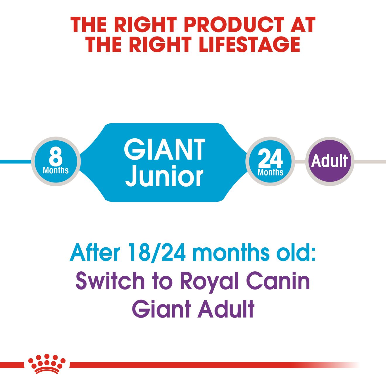 Giant Junior