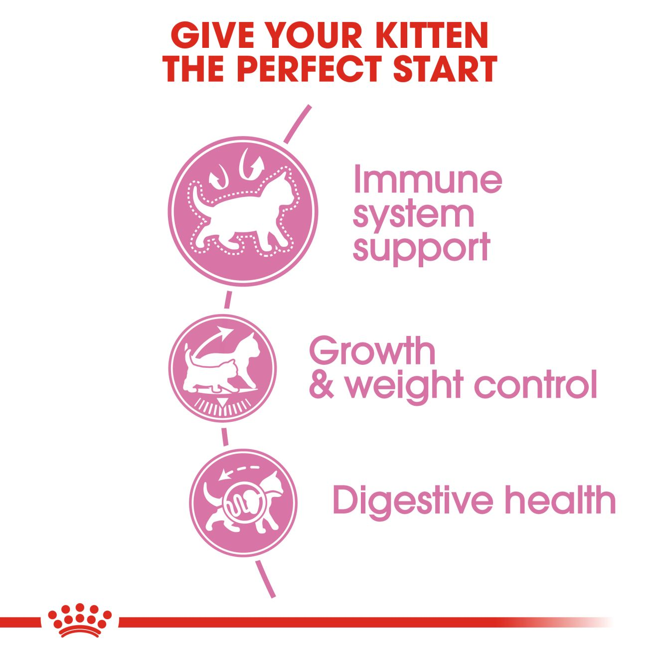 Royal Canin Kitten Sterilised - Piensoymascotas Formato Pack 12 x Bolsa de  85 gr