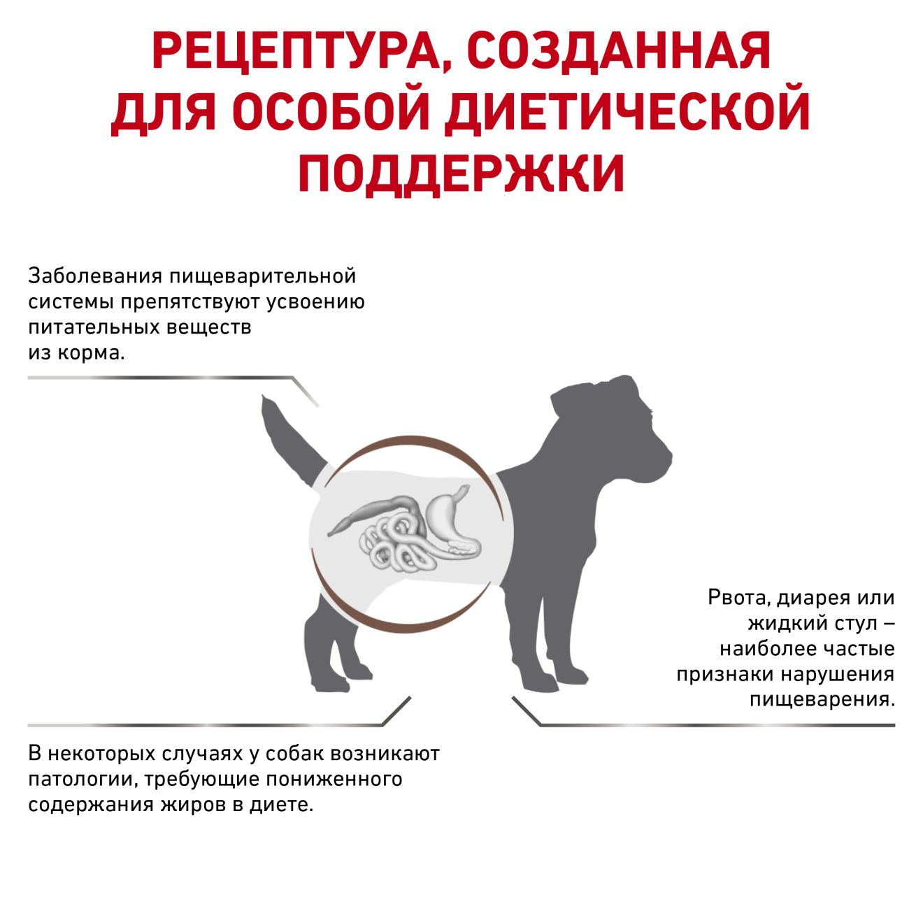 Royal canin store gastrointestinal small dog