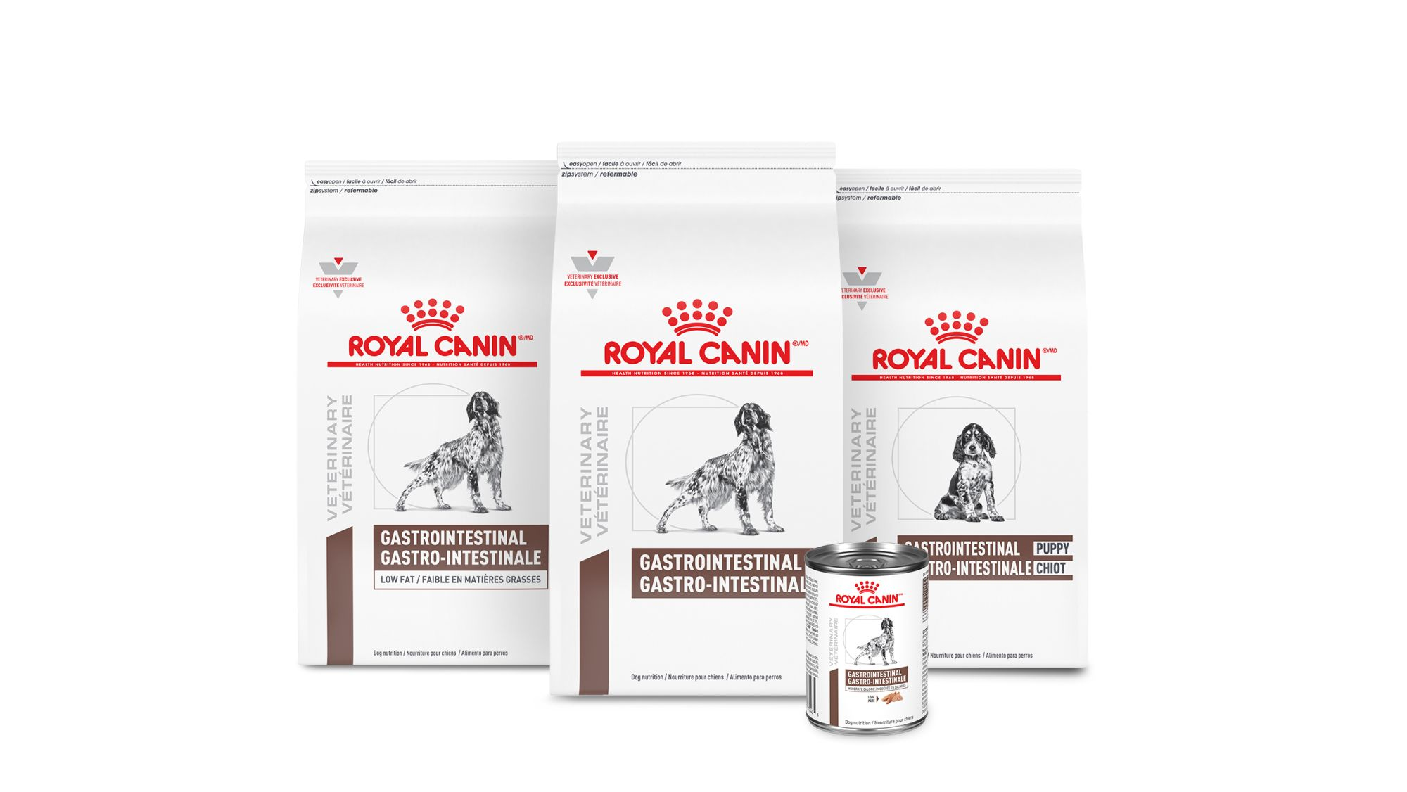 Gastrointestinal health issues in dogs Royal Canin CA