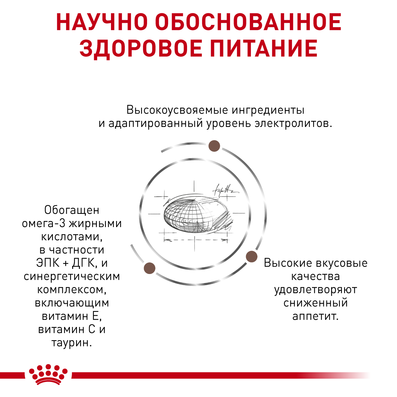 Gastrointestinal Moderate Calorie