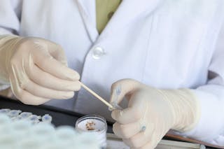 Molti Medici Veterinari inviano regolarmente un campione fecale per coltura in caso di cane con diarrea, ma questo non è utile per la valutazione del microbioma