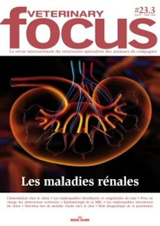 Les maladies rénales