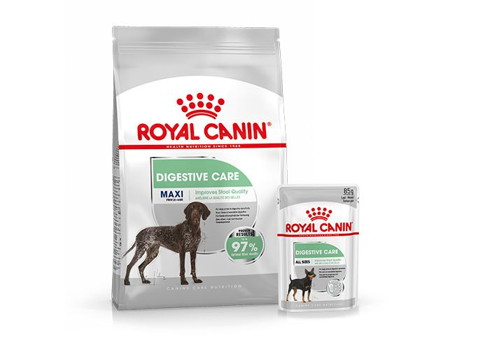 Digestive Care Royal Canin IN