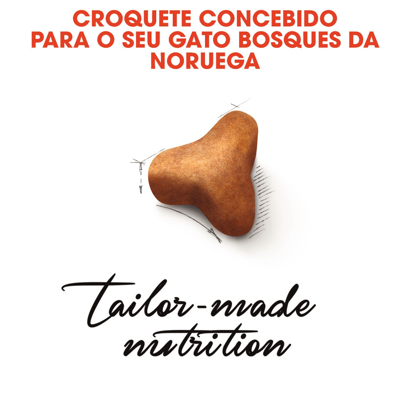 Norwegian Forest Cat Adult