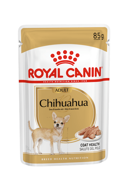 BREED-18_CHIHUAHUA_S_POUCH_85