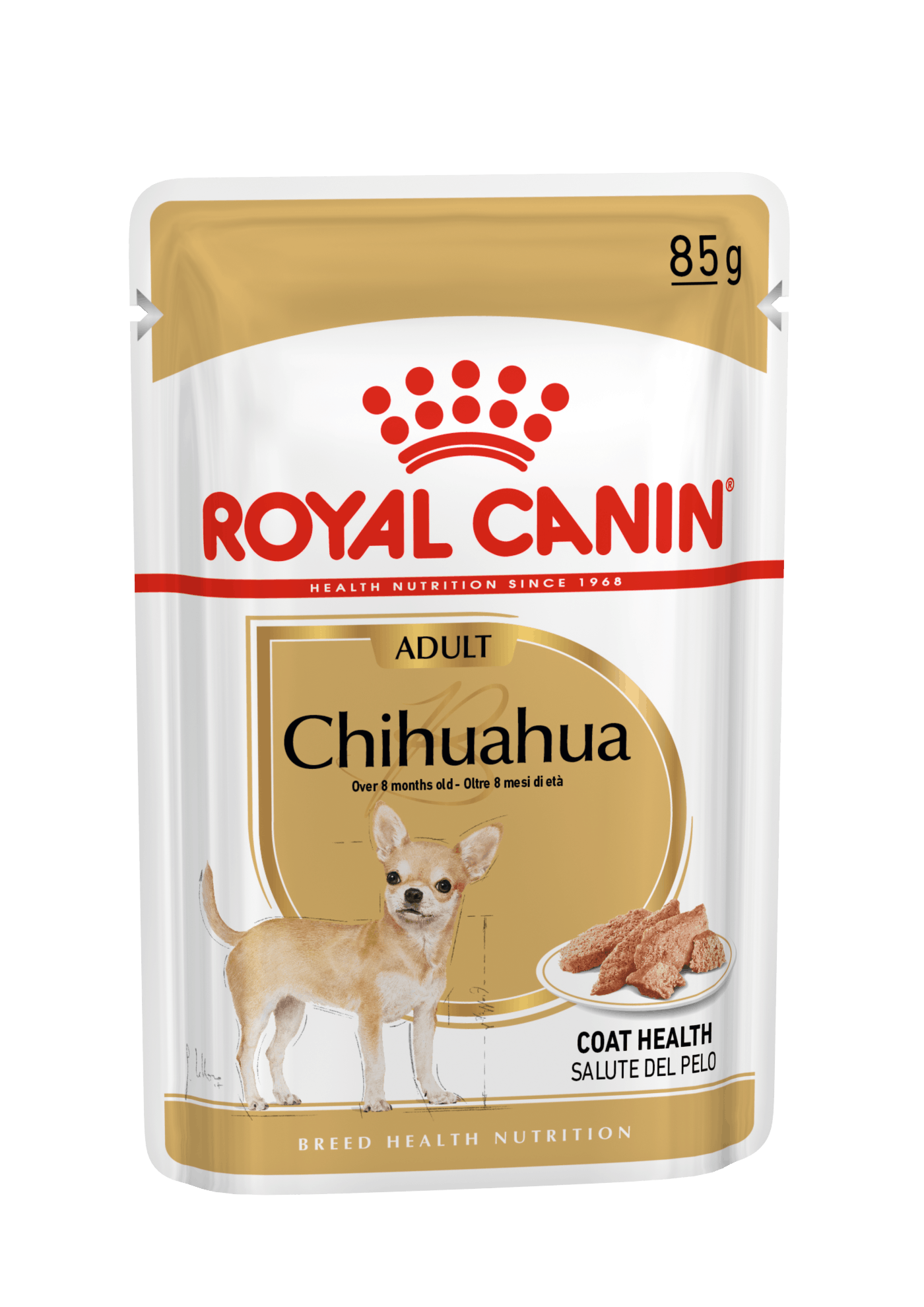 Chihuahua Wet - Royal