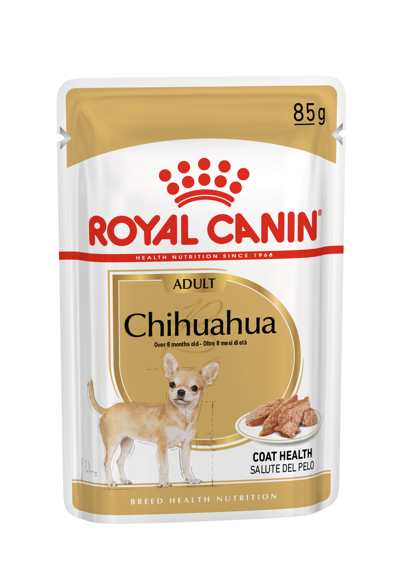 how do i know if my chihuahua puppy is healthy