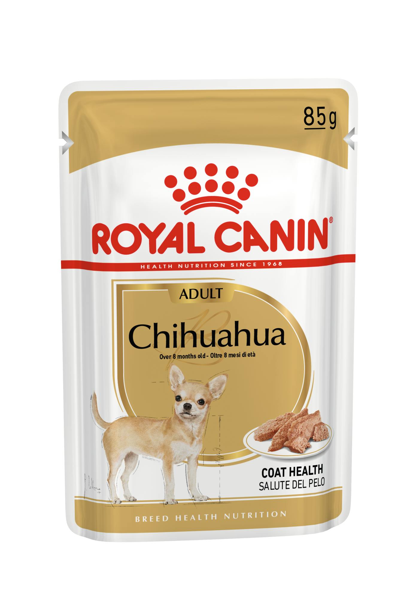 a good dog food to put weight on a chihuahua