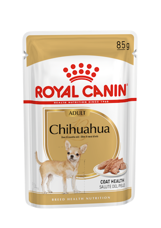 Chihuahua adult (в паштете)
