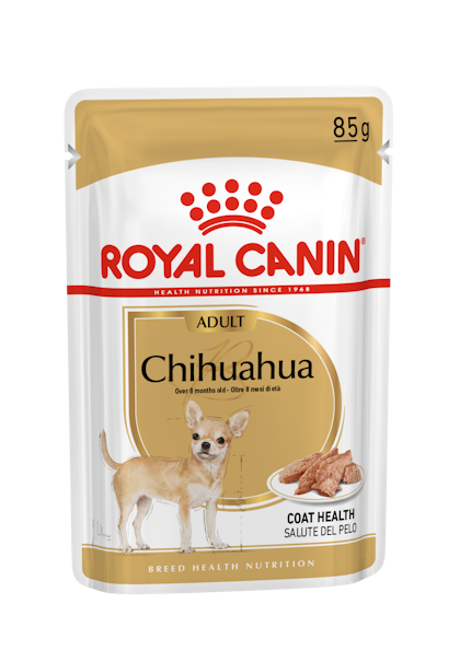 BREED-18_CHIHUAHUA_S_POUCH_85