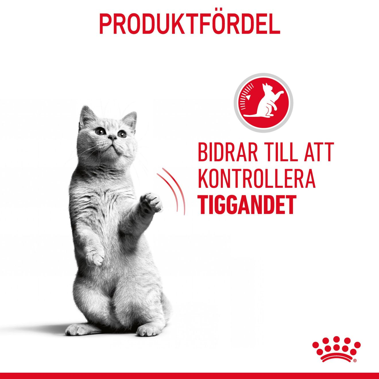 Appetite Control Care Jelly Adult