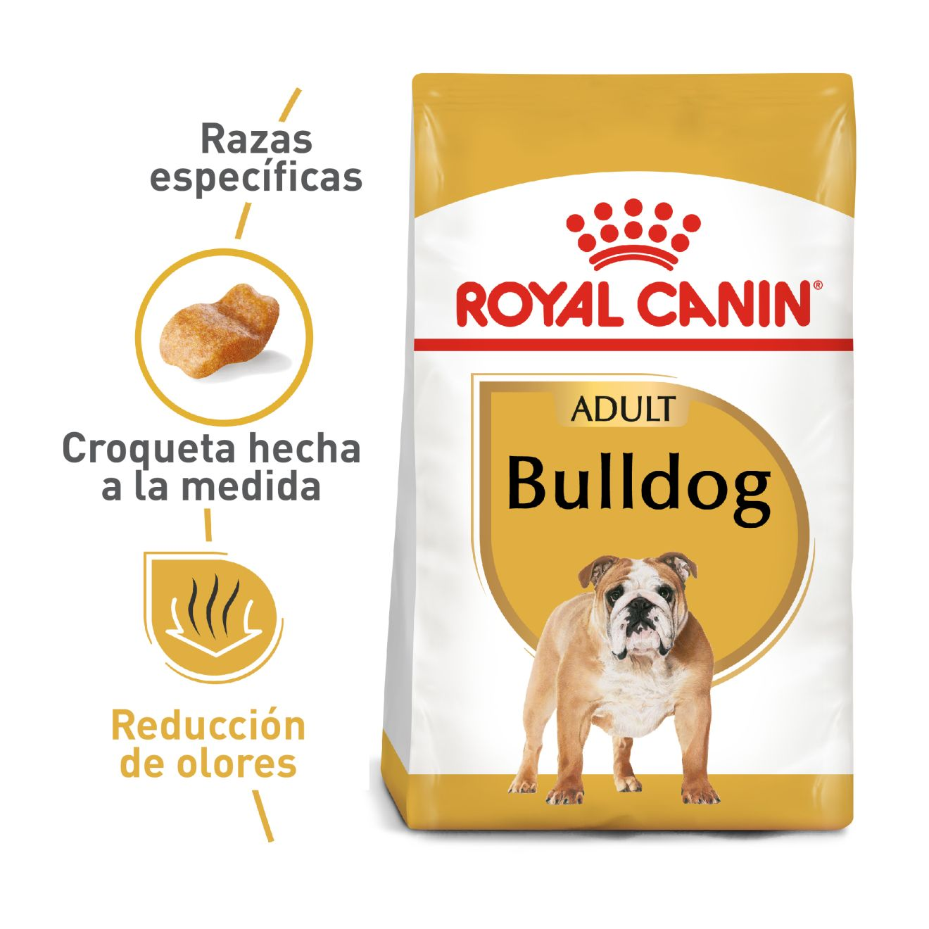 Bulldog Inglés Adulto