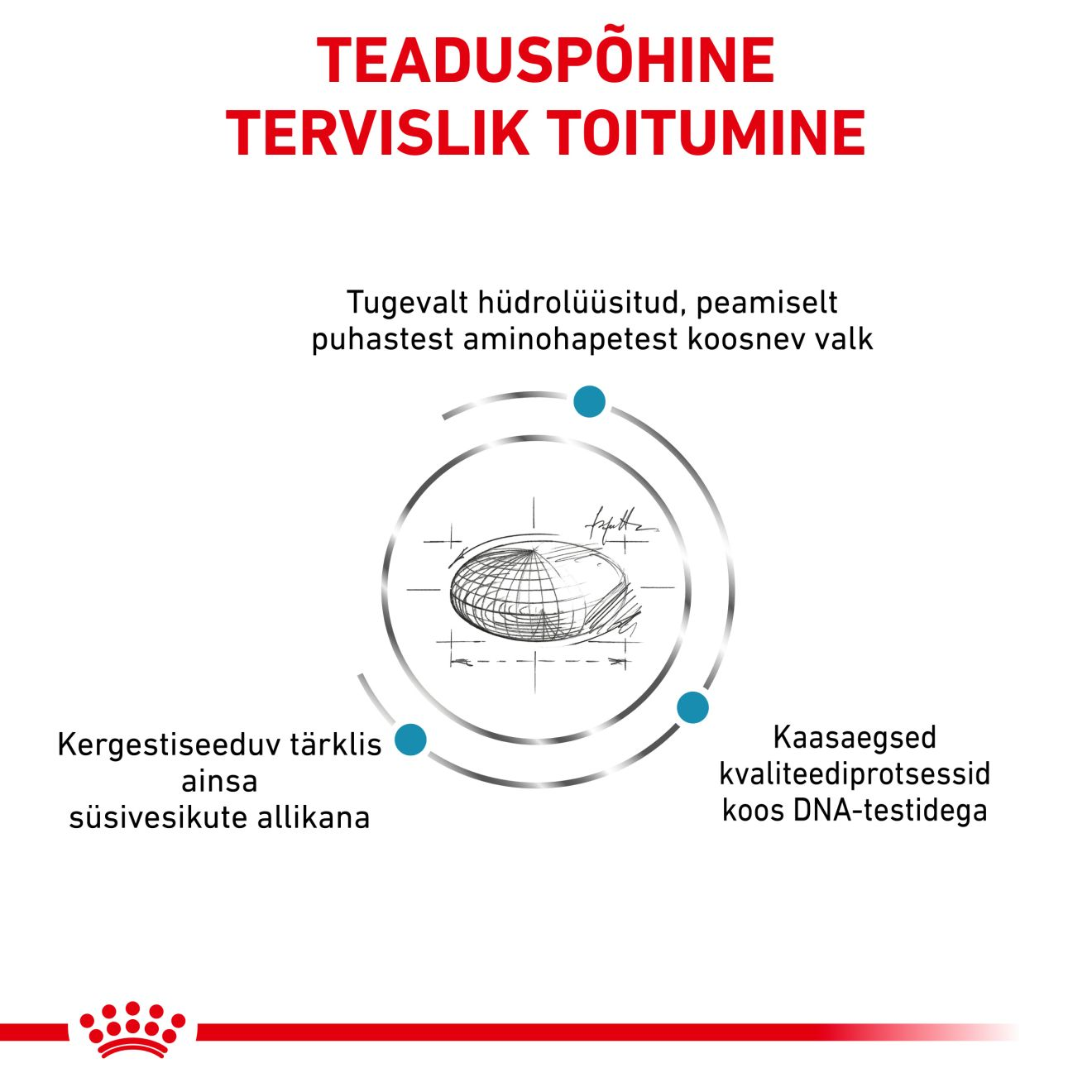Royal Canin Anallergenic Cat kuivtoit