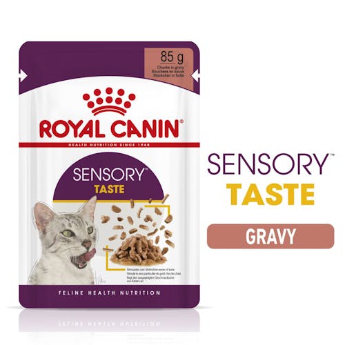 Sensory Taste Chunks In Gravy