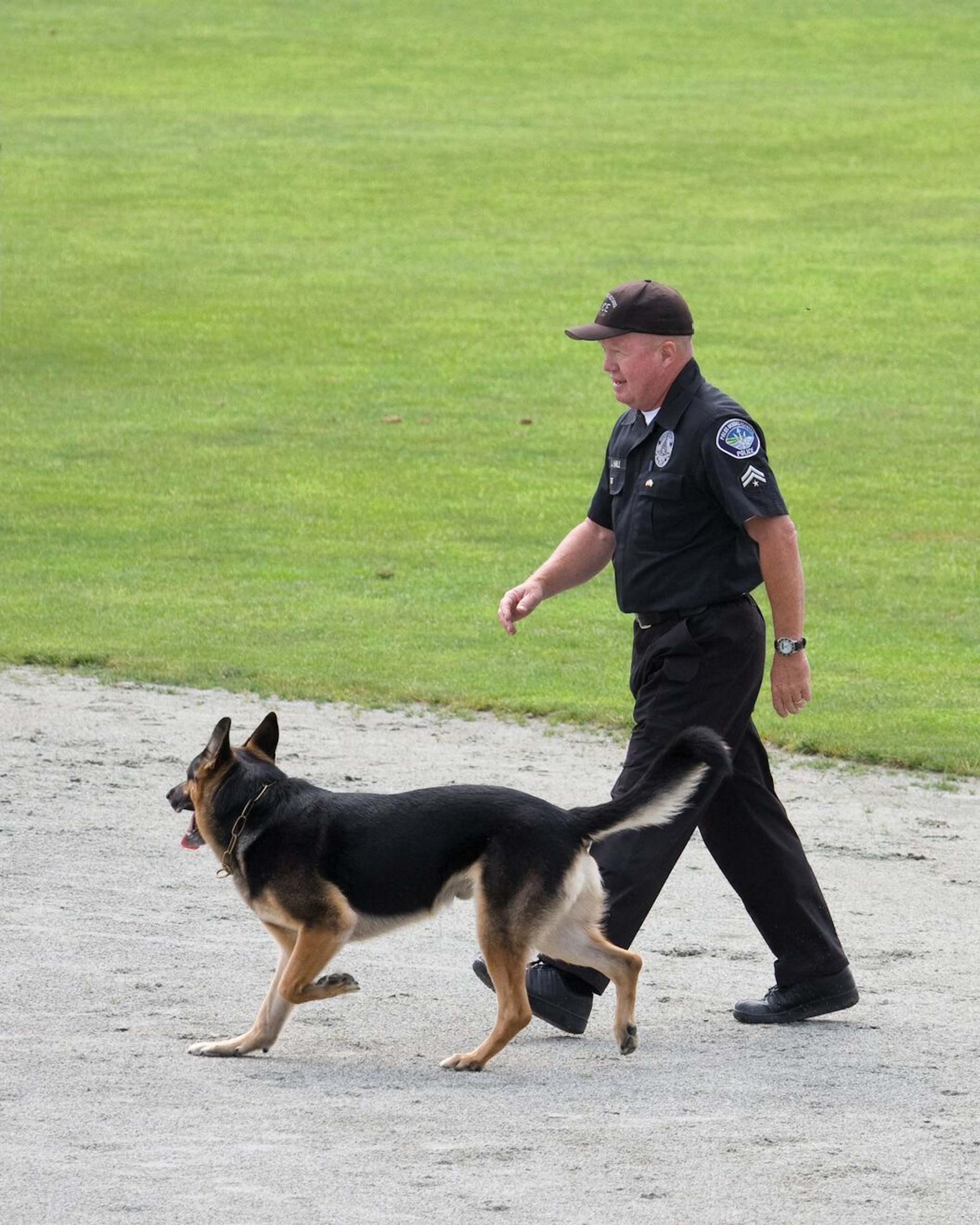 Police dogs are subject to low or moderate levels of exercise for a prolonged period of time, and should be fed a diet with both digestible carbohydrates and fat as the energy source.