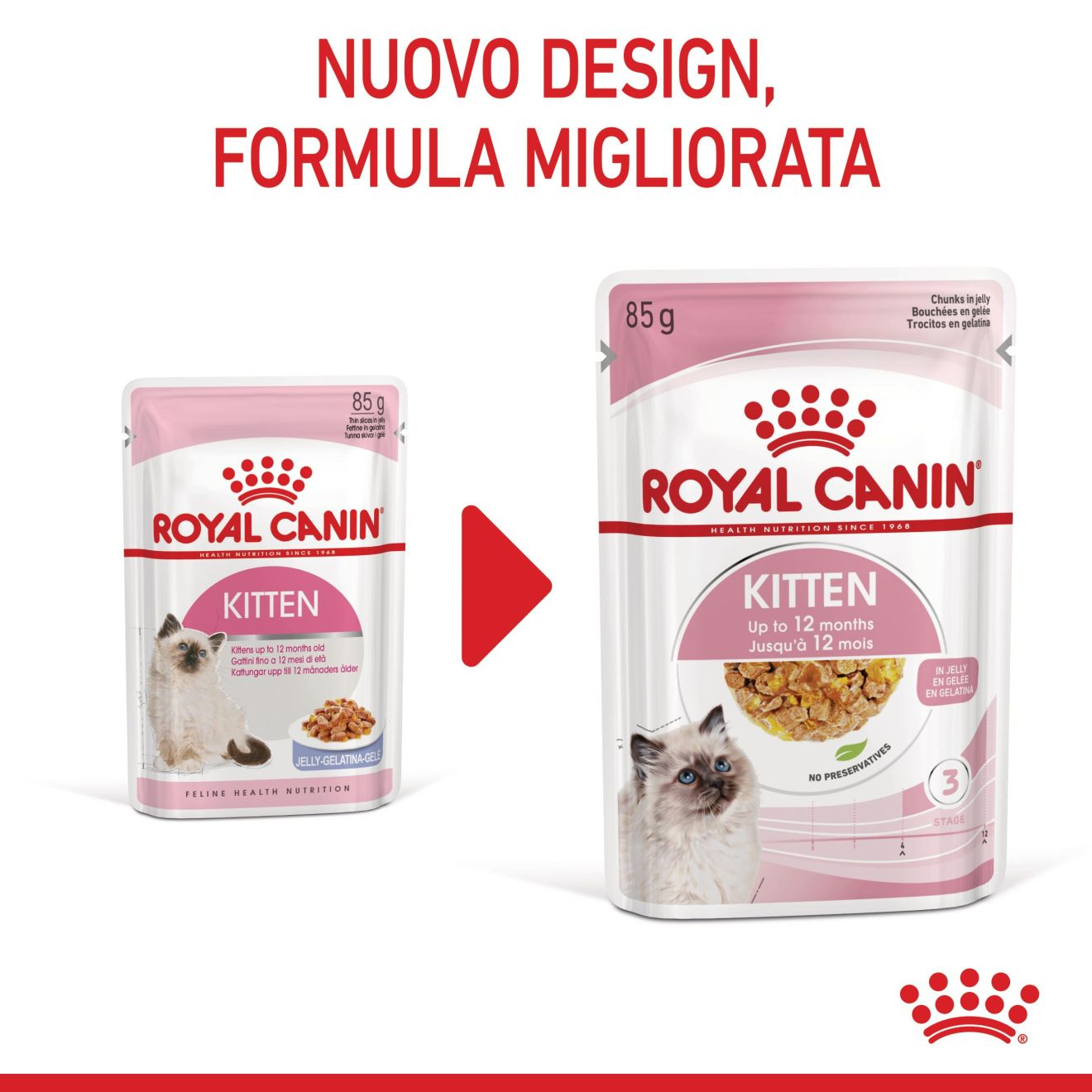 Kitten bocconcini in gelatina