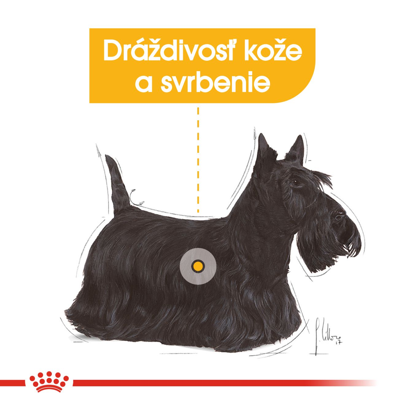 ROYAL CANIN Dermacomfort Dog Loaf kapsička s paštétou pre dospelých psov s problémovou kožou