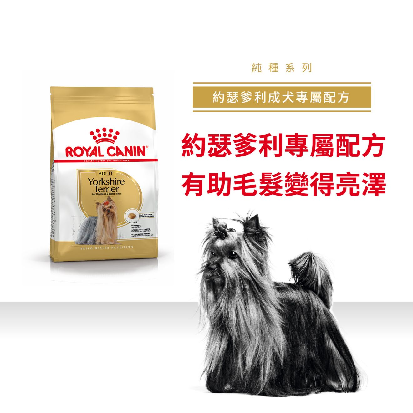 BHN 約瑟爹利成犬專屬配方