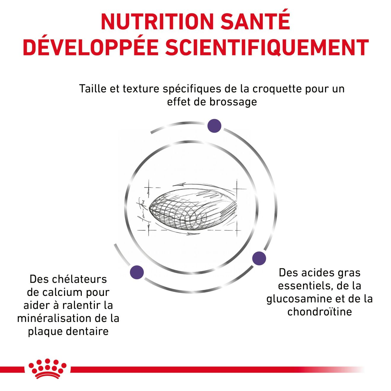 Dental Medium & Large Dogs