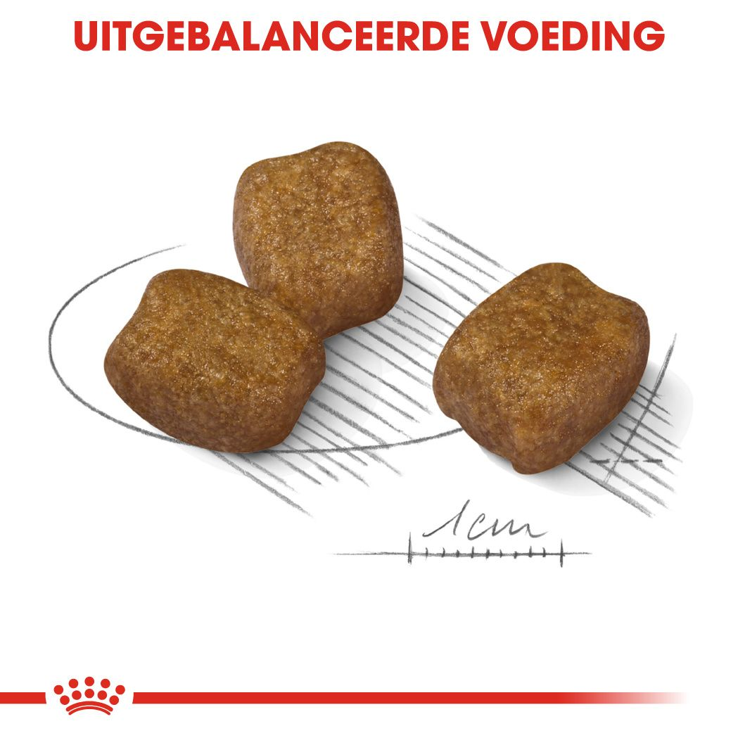Royal Canin® Hypoallergenic - Hondenvoer voor kleine volwassen honden gevoelig voor bepaalde voedingsstoffen