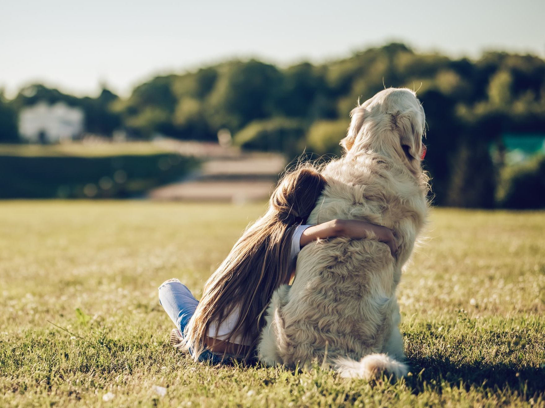 Petite fille avec un golden retriever sur une pelouse verte.