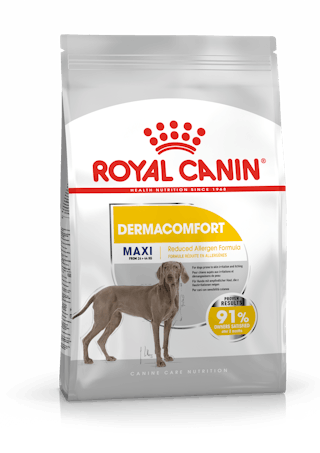 Royal Canin Maxi Dermacomfort kuivtoit