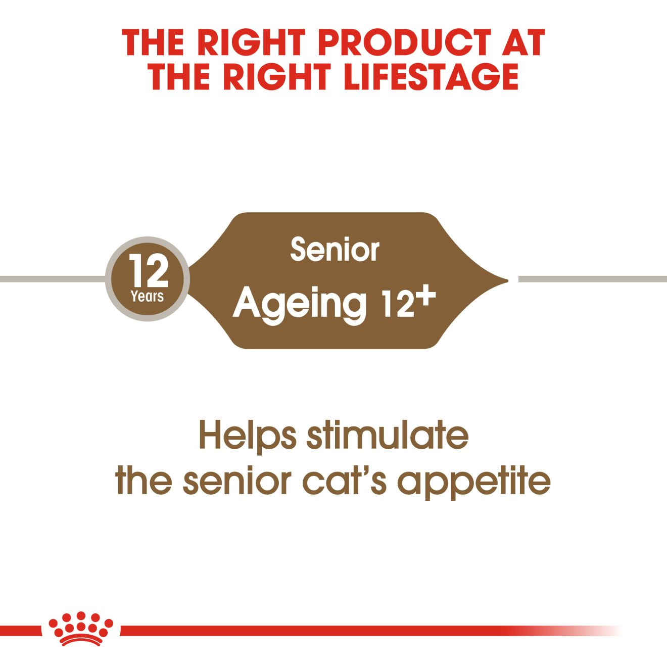 Royal canin clearance for senior cats