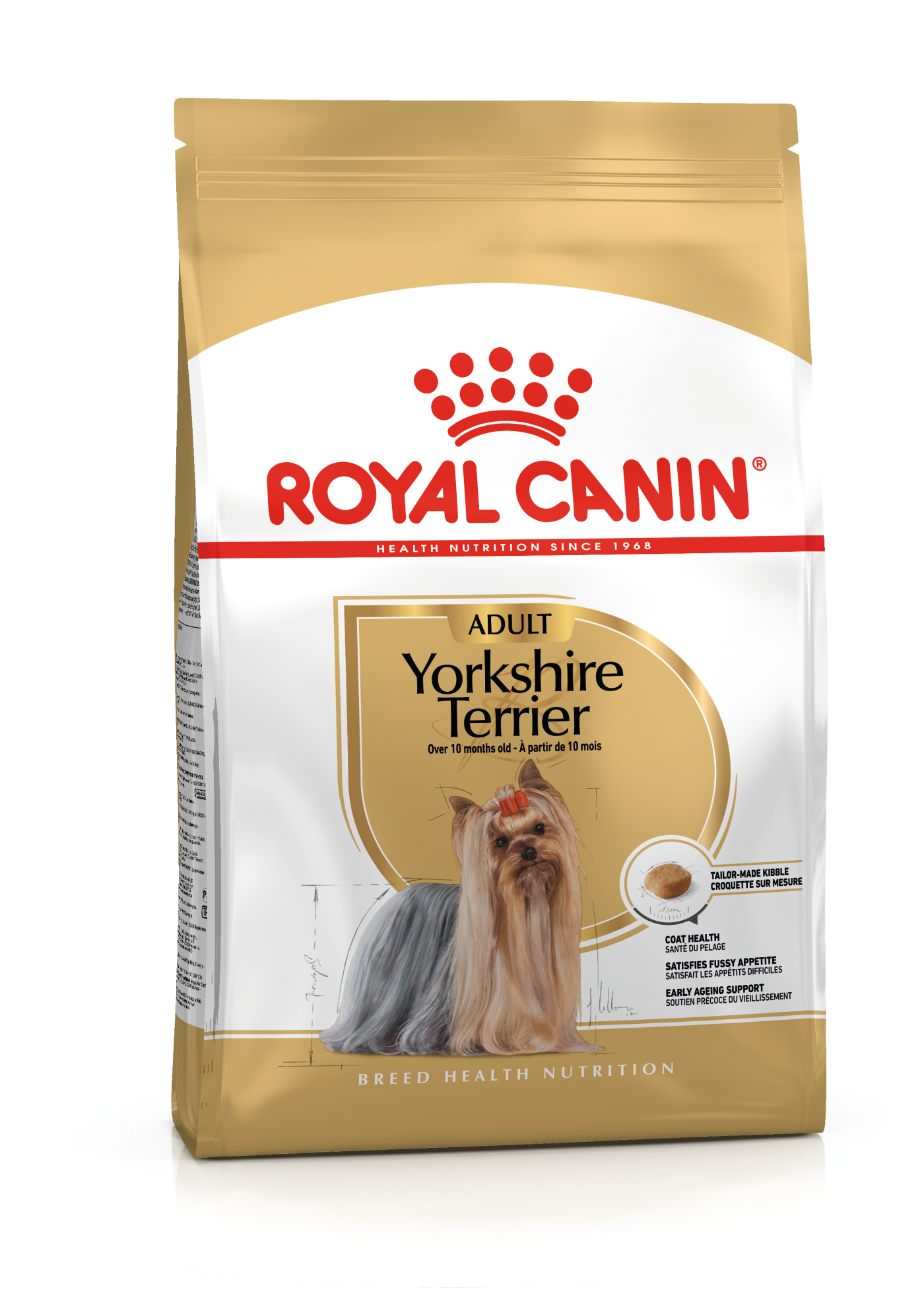 Yorkshire Terrier Adult