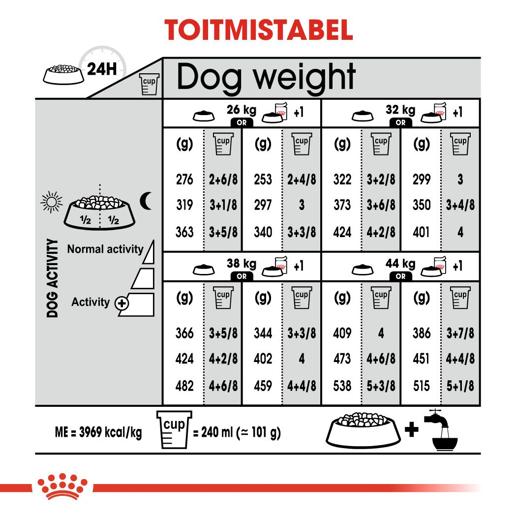 Royal Canin Maxi Dermacomfort kuivtoit