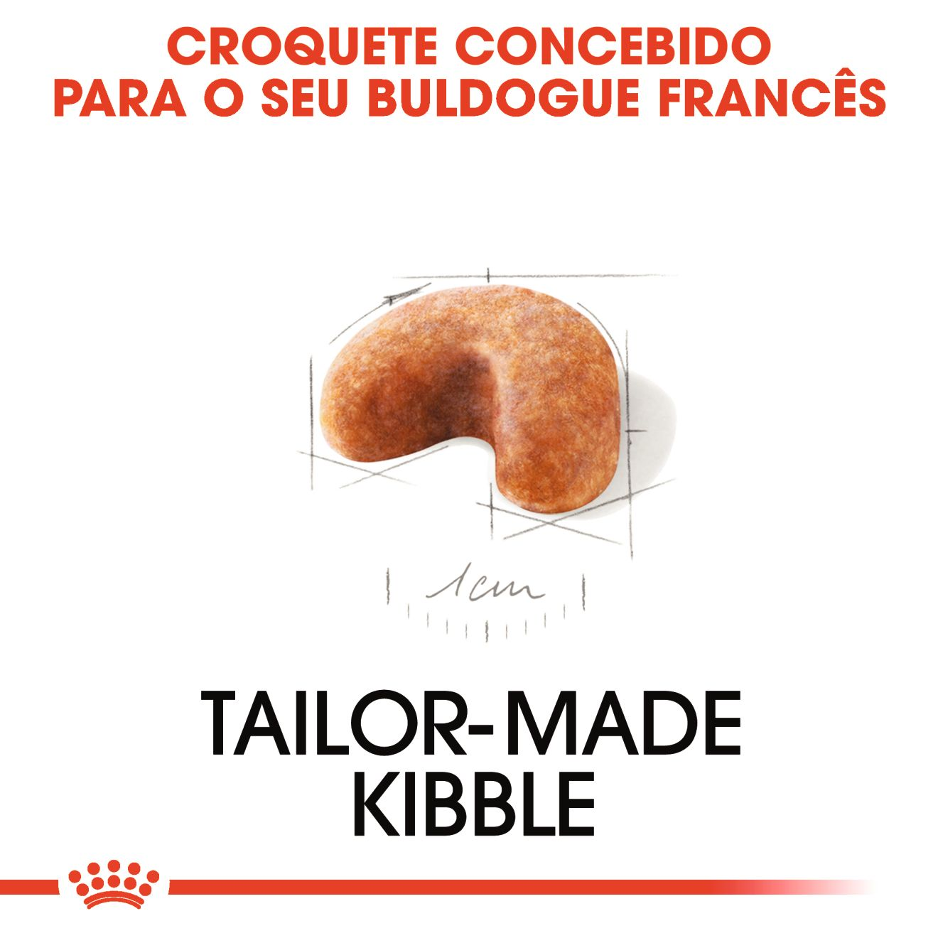 French Bulldog Puppy