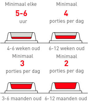 RE_NL_Feeding_schedule_1_year