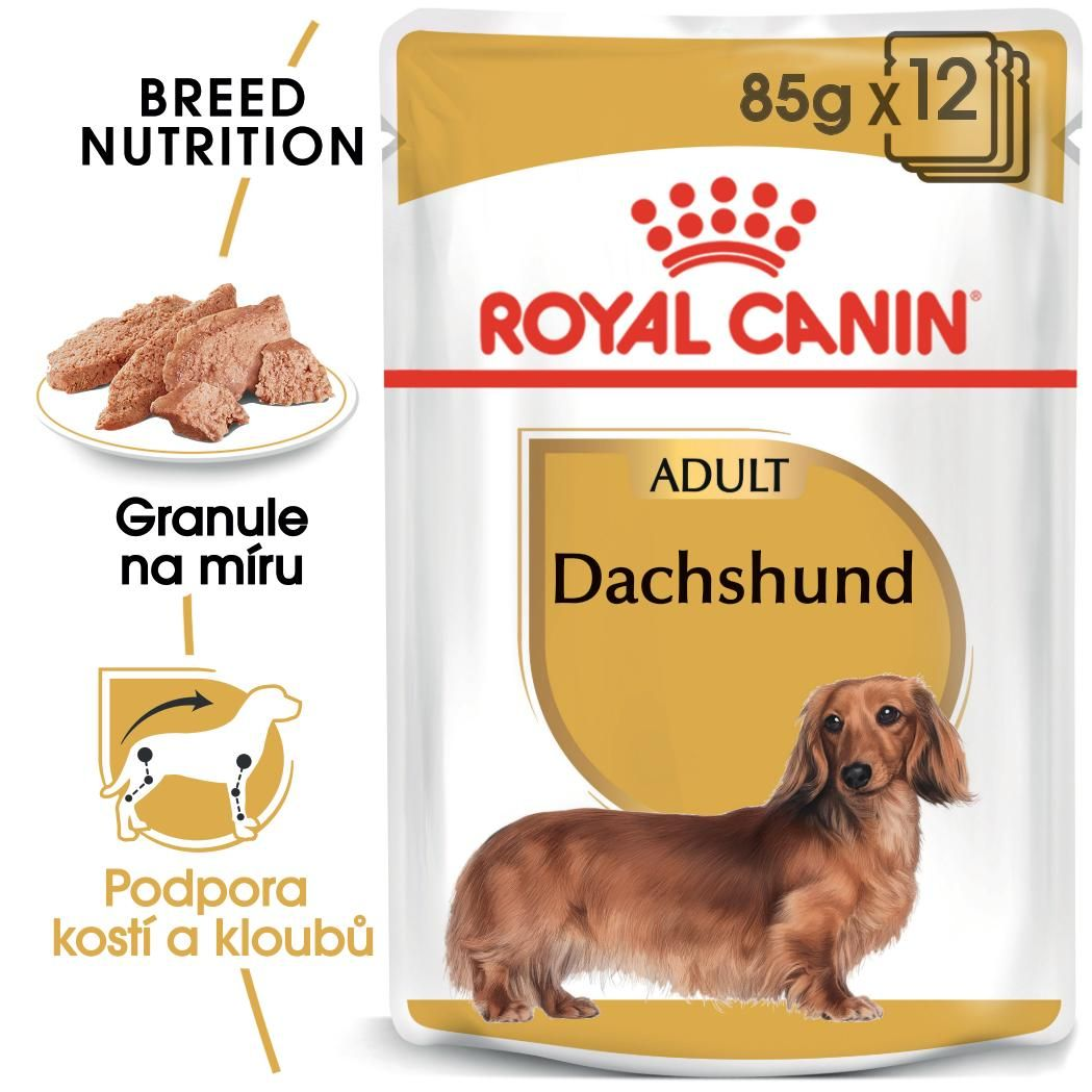 DACHSHUND