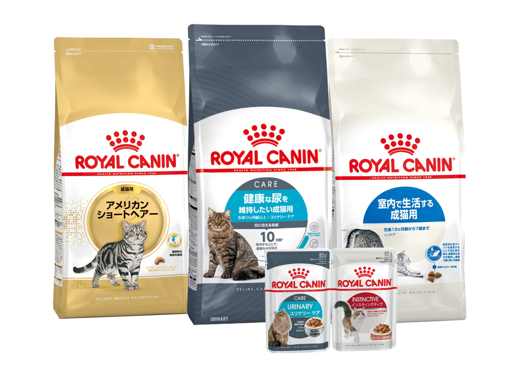 猫用食事療法食 | Royal Canin JP