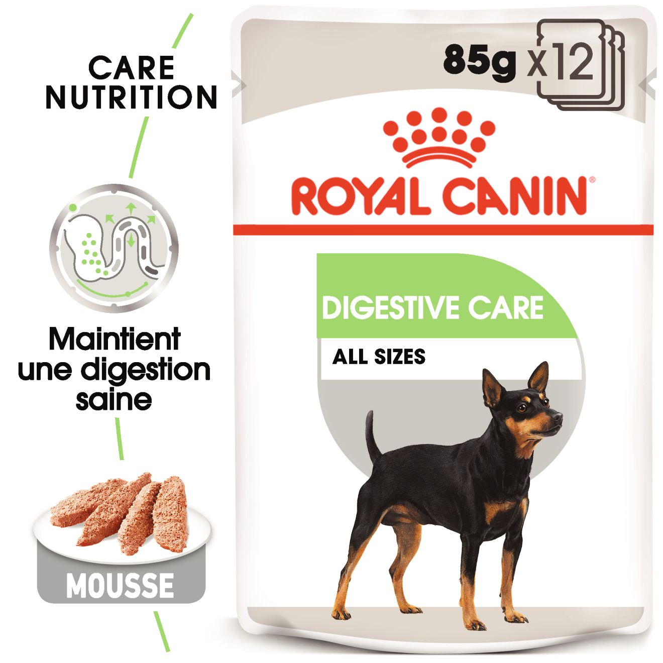 Digestive Care Loaf (pâtée en sauce)