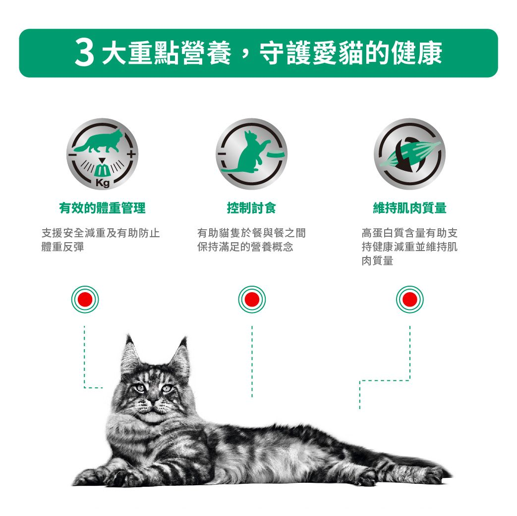 成貓飽足感處方袋裝濕糧（肉汁）