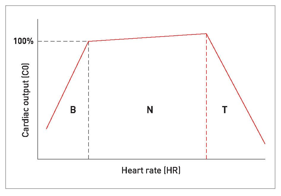 The relationship between cardiac output (CO) and heart rate (HR) 