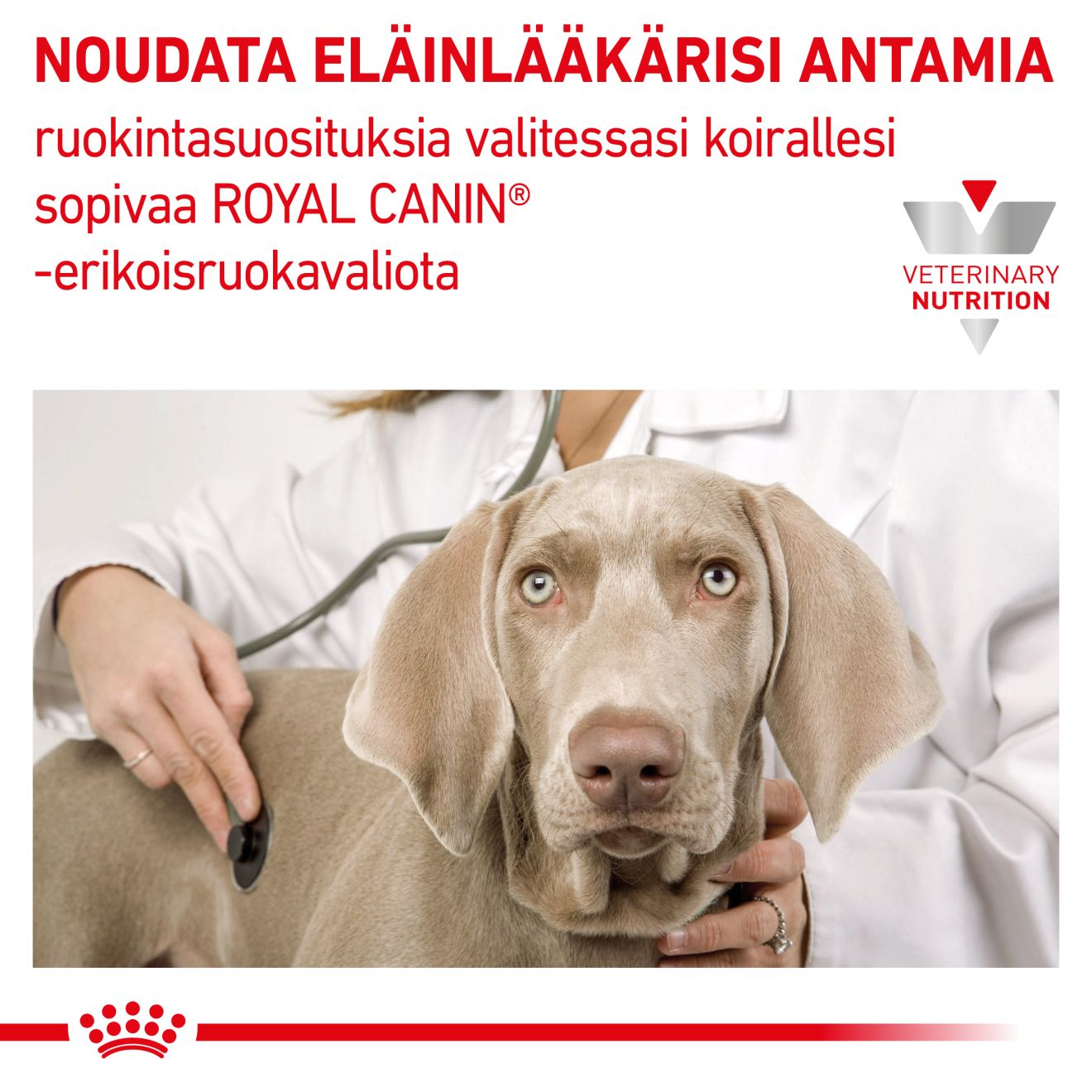 Vital Renal Select