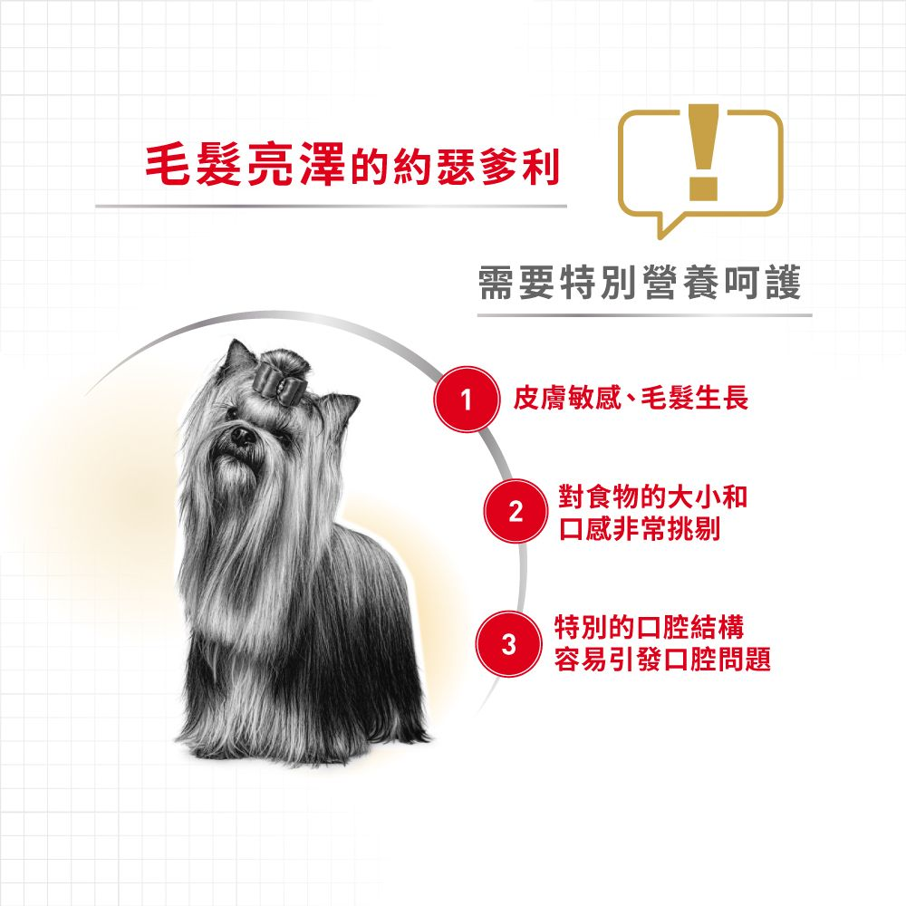 BHN 約瑟爹利成犬專屬主食濕糧（肉塊）