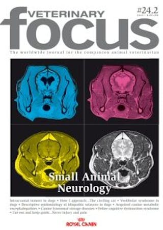 Small Animal Neurology