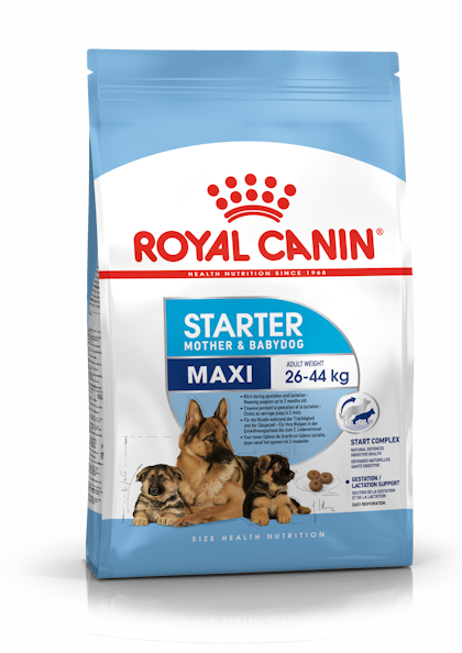 Maxi Starter Dry Royal Canin