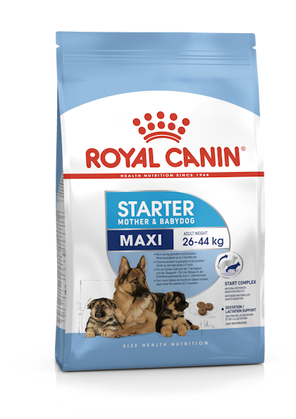 PACKSHOT-STARTER MAXI_SHN17