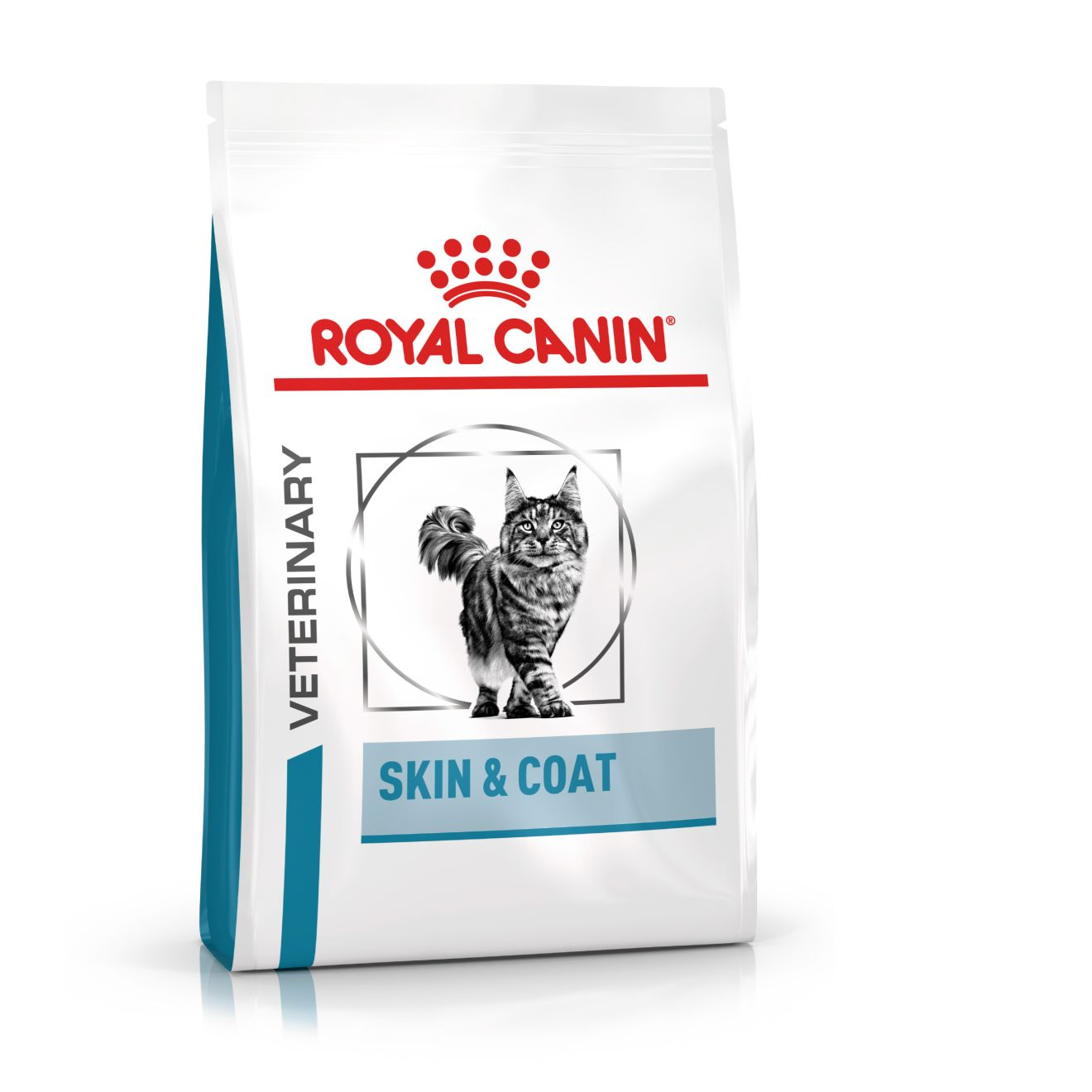 Royal Canin Skin & Coat Cat kuivtoit