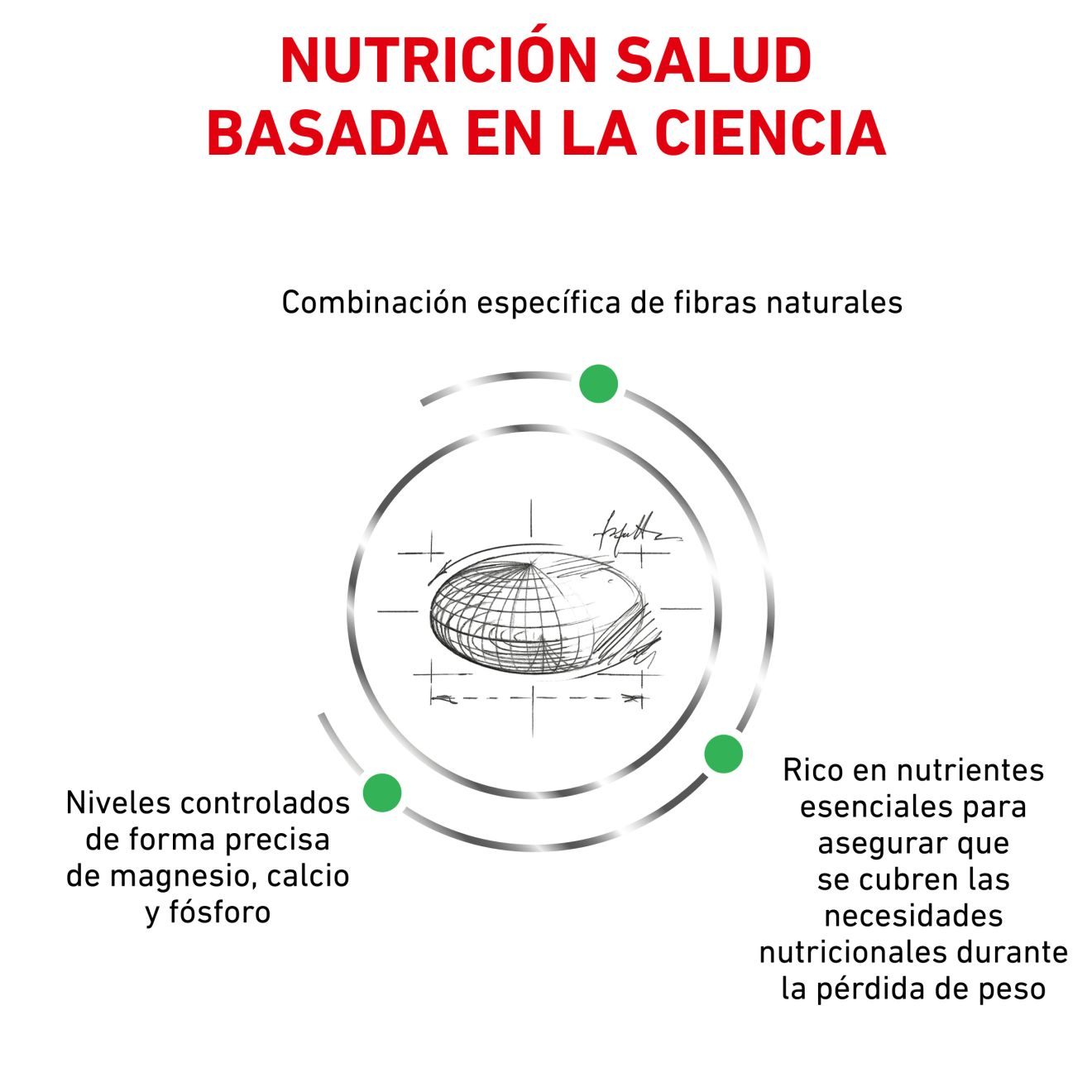 Satiety Weight Management Small Dog