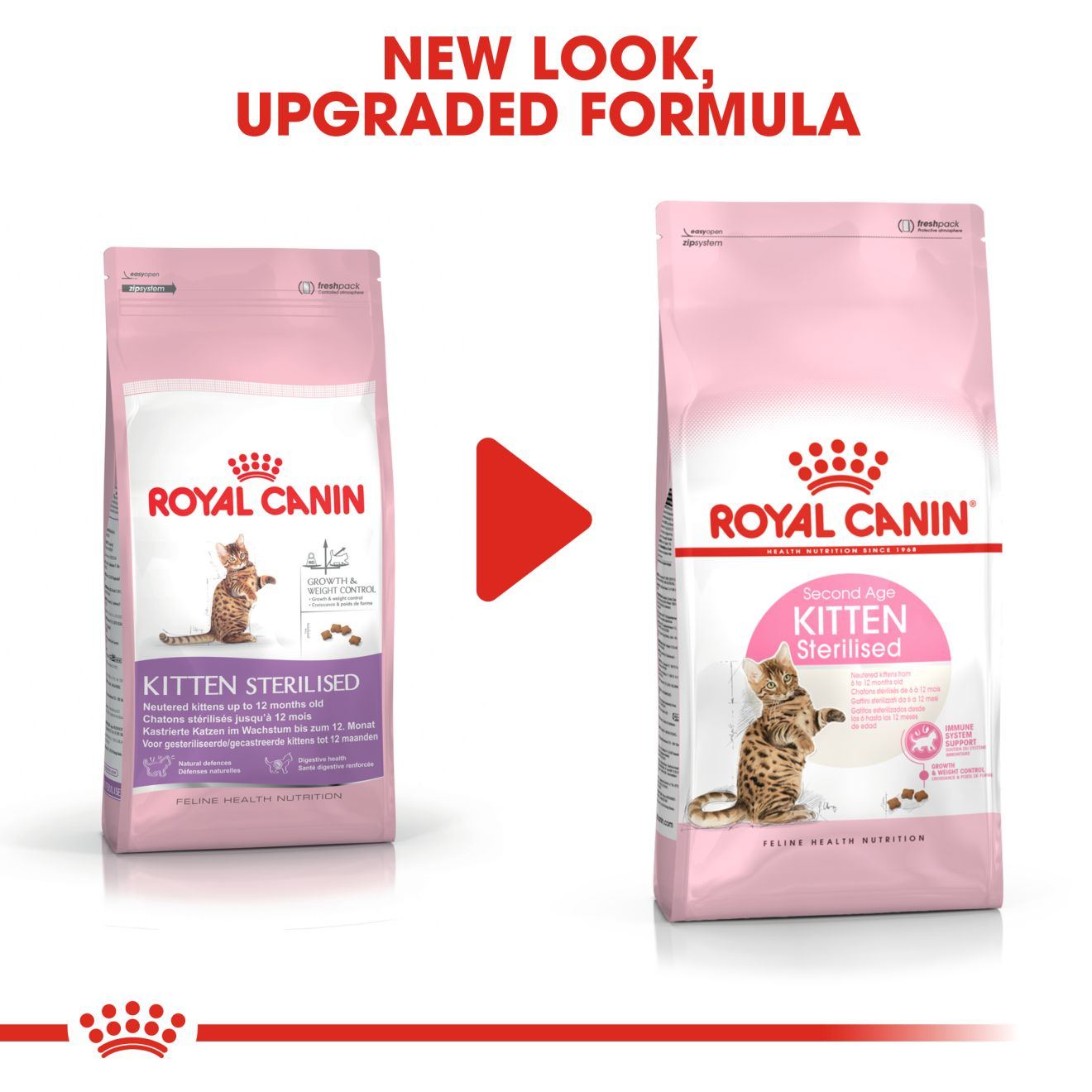 kitten sterilized royal canin