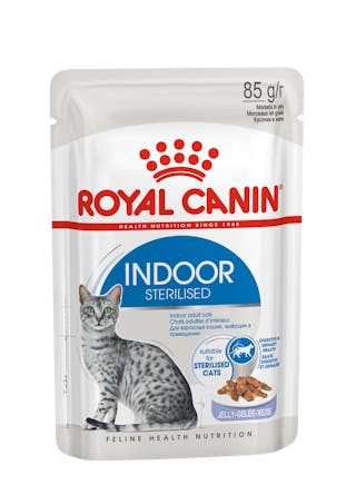 ROYAL CANIN Indoor in jelly kapsička v želé pro dospělé kočky chované v bytě