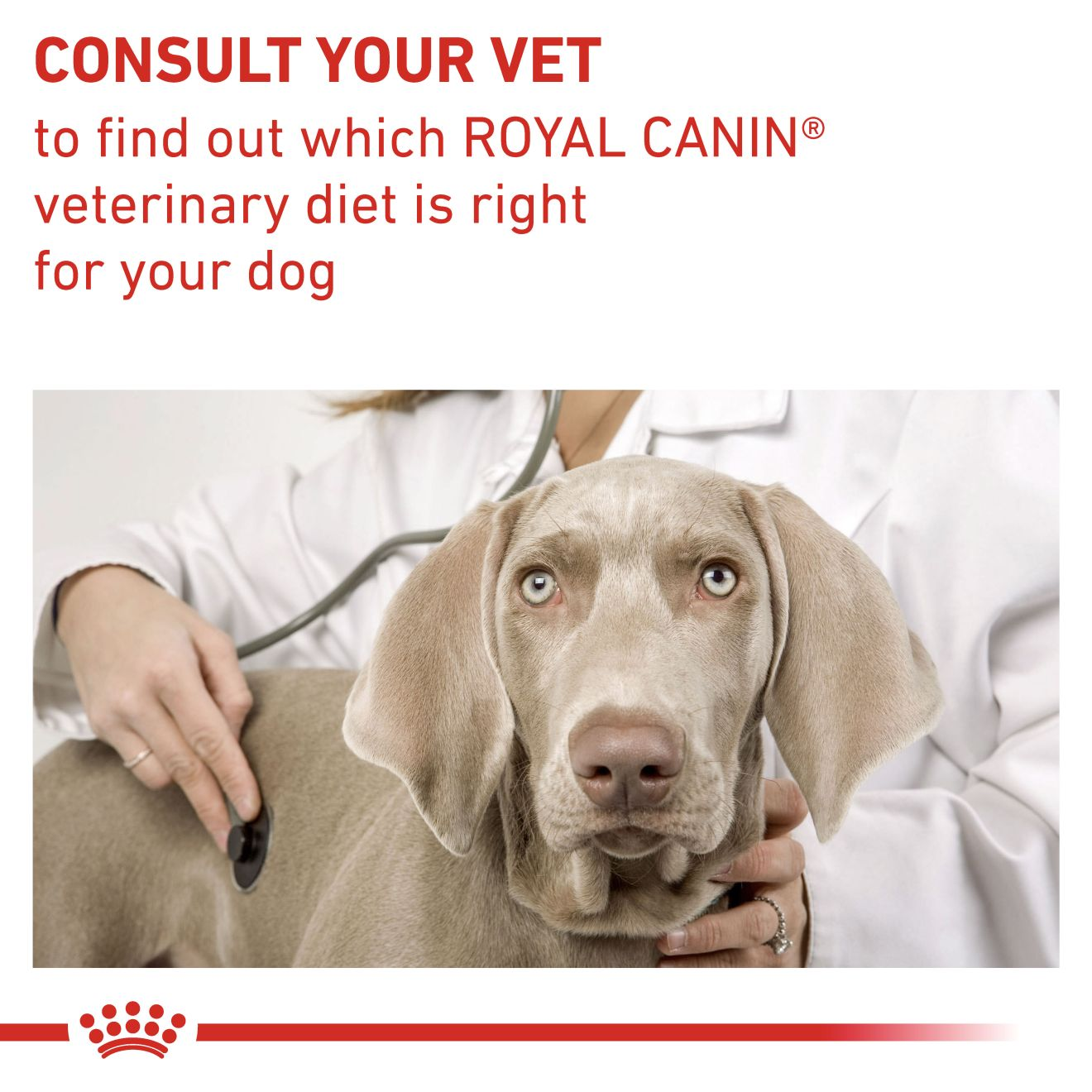 Royal canin shop veterinary neutered