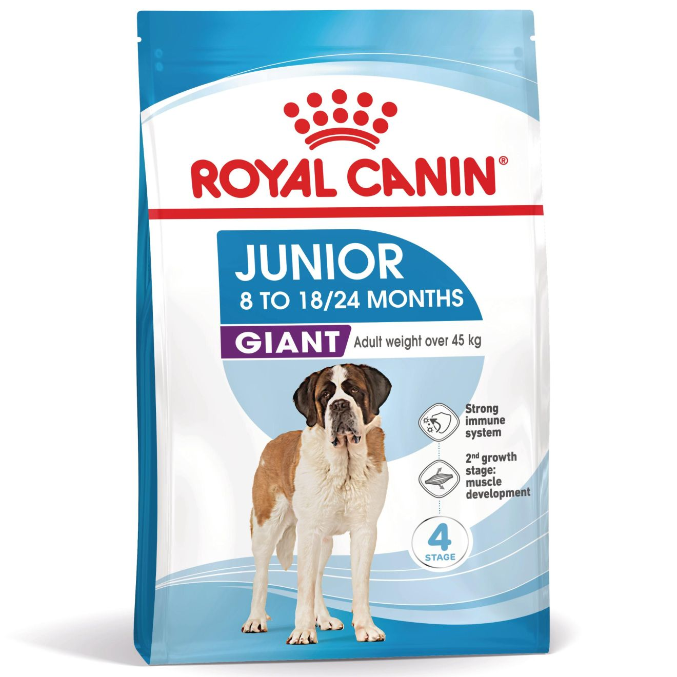 JUNIOR - GIANT